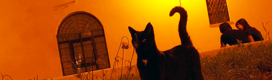 better-email-marketing12