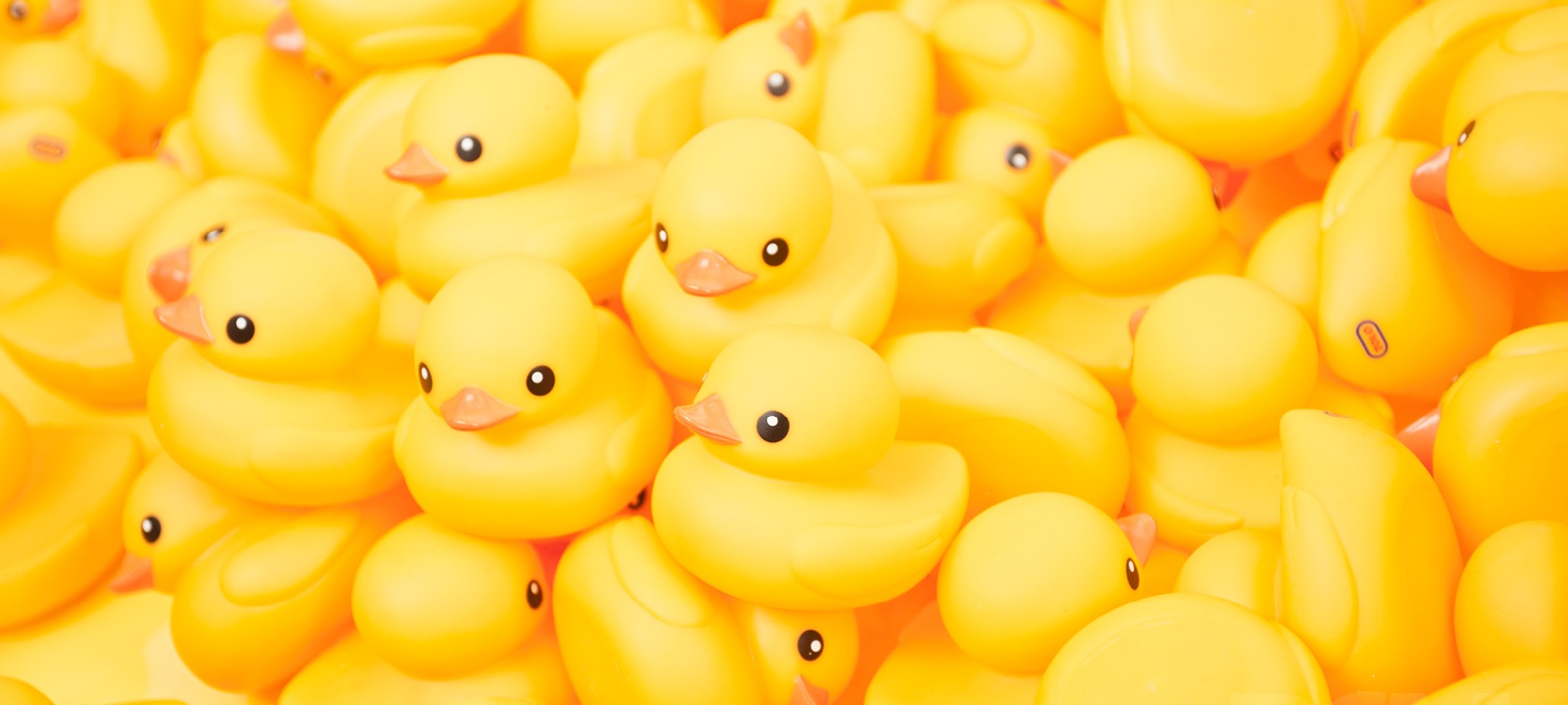 How to get tailored hosting to meet your specific needs