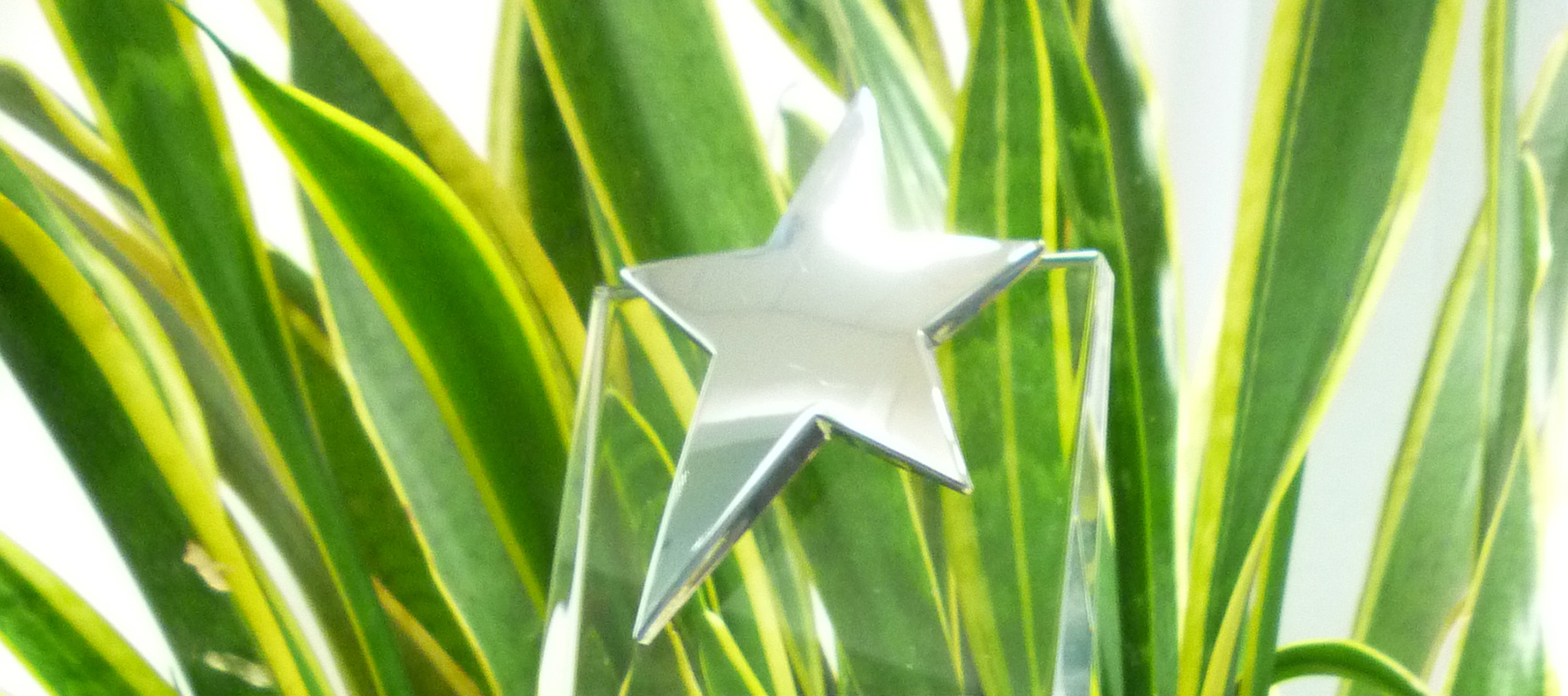 Heart Internet named Best Web Host 2015