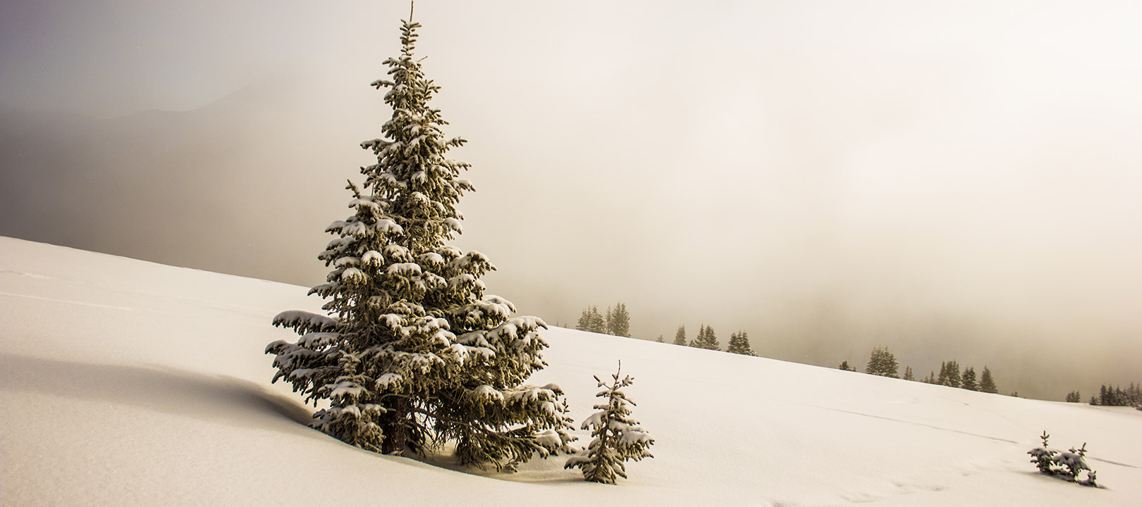 Ten free winter-themed WordPress templates