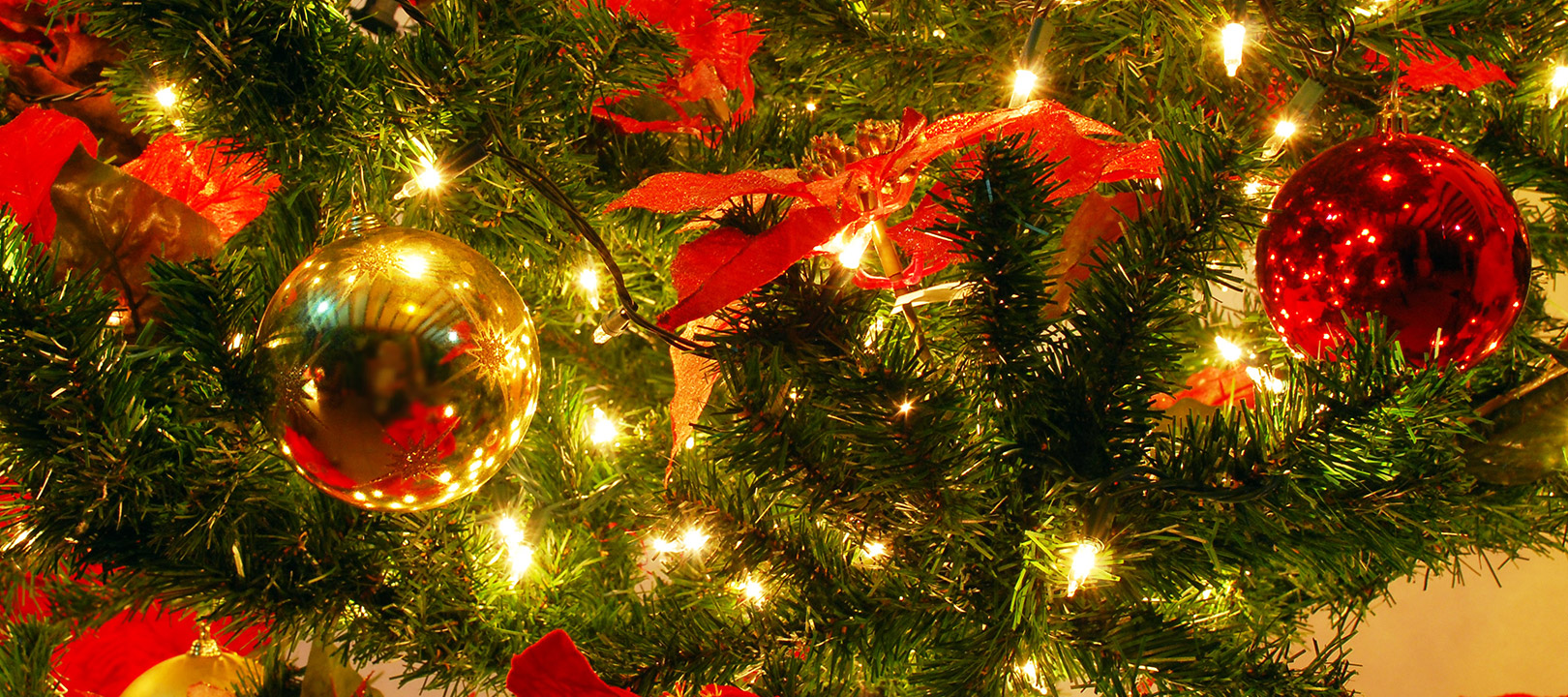 The rights and wrongs of seasonal design