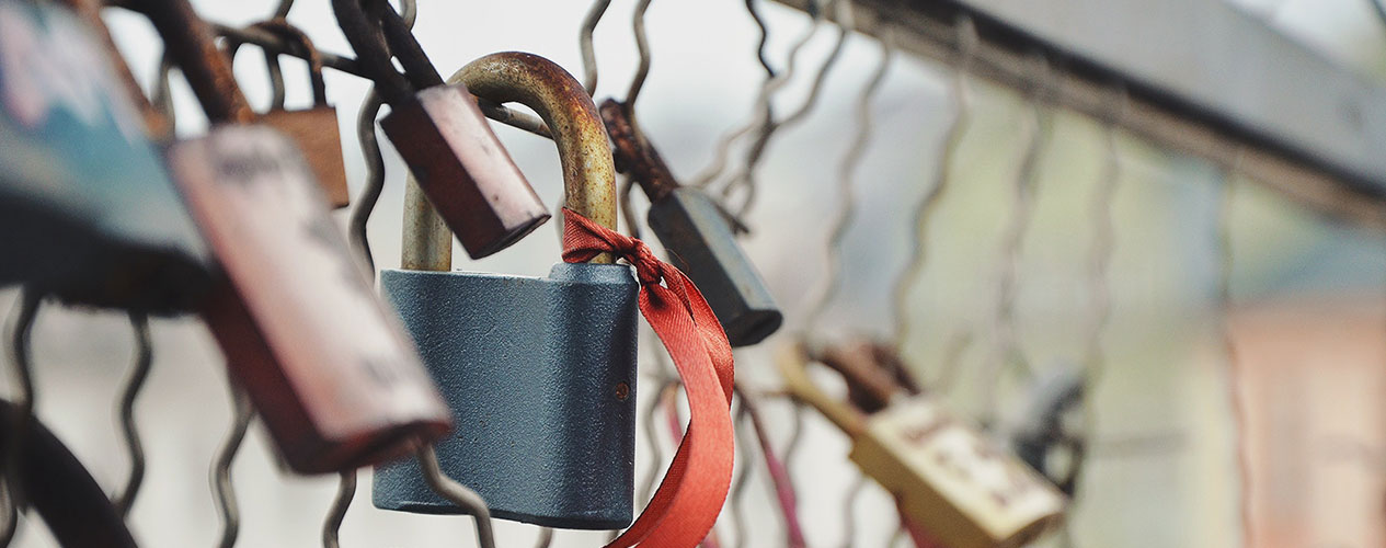 6 easy WordPress security tips