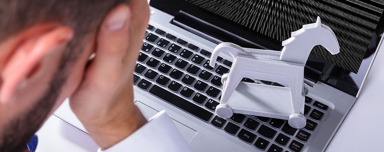 Download your free Guide to Website Security