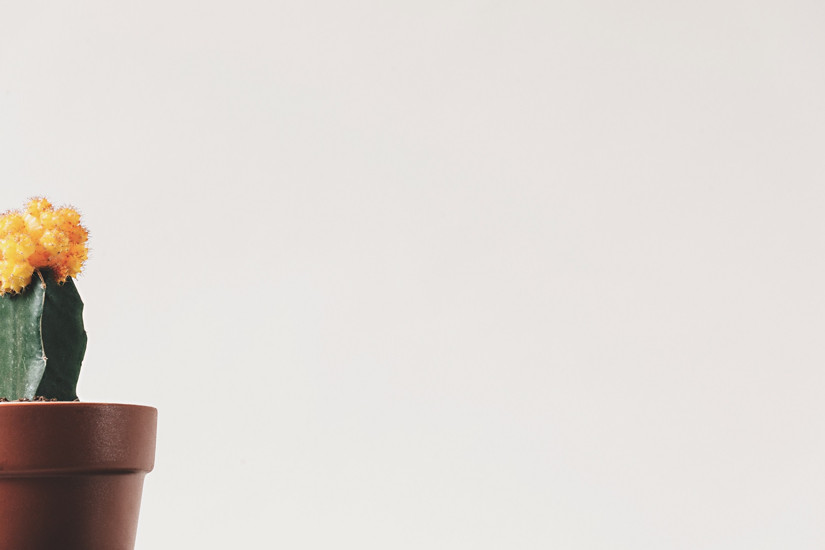 Decoration vs minimalism: where is web design fashion going next?