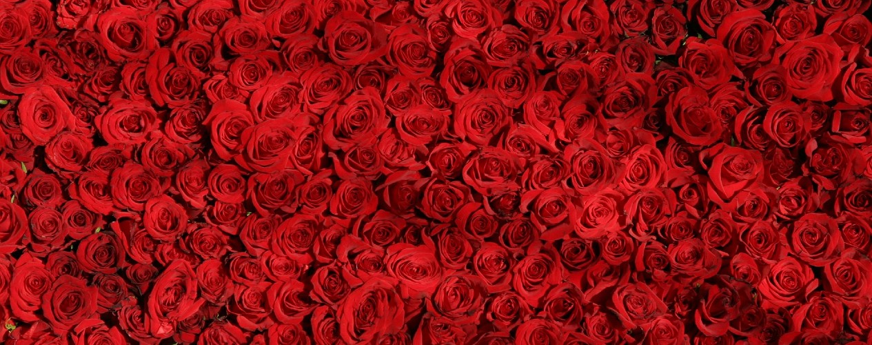 How to choose a memorable brand name – and 5 businesses that got it right