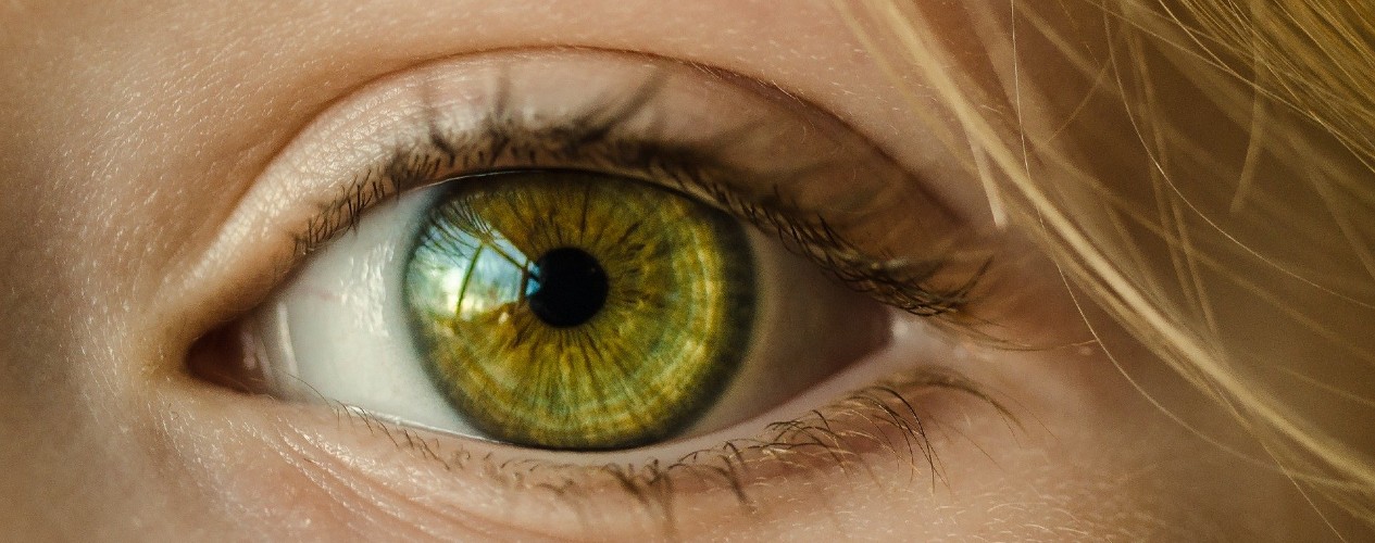 Reseller hosting 101: 4 things to look for in a reseller hosting partner