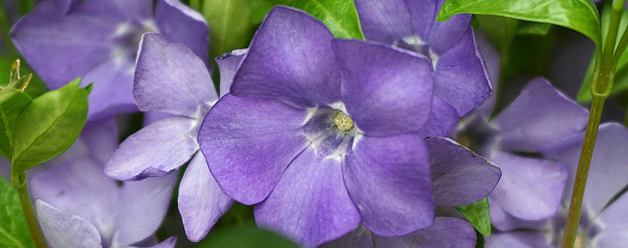 Inspiration for designing websites that harness 2022’s on-trend colour