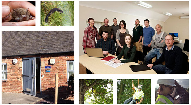 The Arbtech team, with some of their work