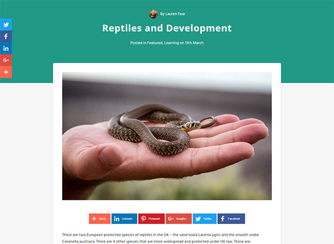 A blog article on the Arbtech site about reptiles and ecological surveys