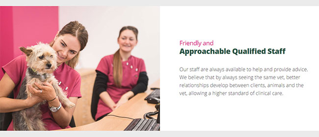 Screenshot of the Reception Desk section of the Bollington Veterinary Centre's website