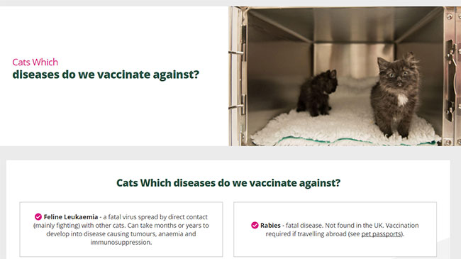 Screenshot of the Cat Vaccination page of the Bollington Veterinary Centre's website