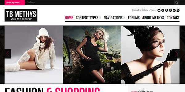 Screenshot of the TB Methys Drupal theme