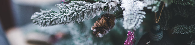A pinecone on a frosted Christmas tree