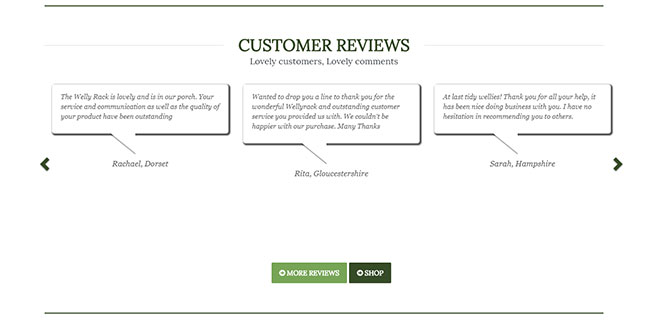Screenshot of customer reviews on the Wellyracks site