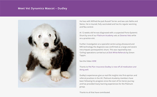 Screenshot of the page about Vet Dynamics' mascot Dudley